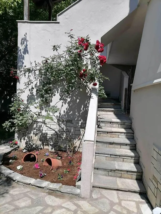 Afroditi'S House Nikiti  Lejlighed Nikiti (Sithonia)
